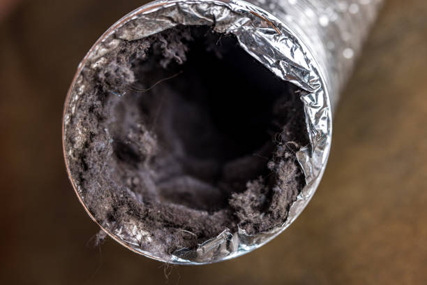 Best Local Air Duct Cleaning Services  in Seven Lakes, NC
